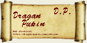 Dragan Pupin vizit kartica